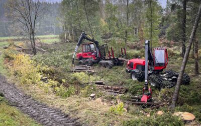 Skogsmaskinstermologi för nybörjare